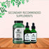 DHEA 25mg | Adrenal Tincture | Endocrine Tincture